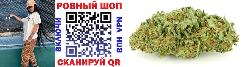 Купить закладку Киселёвск Псилоцибиновые грибы  A PVP  Меф мяу мяу  Кокаин  Канабис 