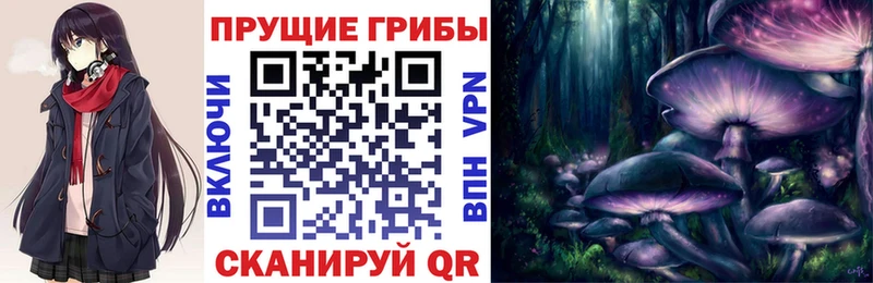 Псилоцибиновые грибы Psilocybe  Киселёвск 
